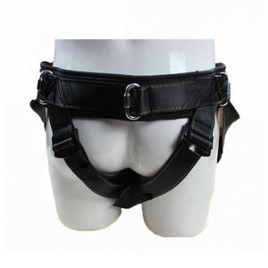Arnés de Seguridad Profesional CITICITY para Protección de Medio Cuerpo en Acrobacias - Product Image 1