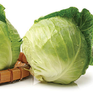 Sliced Frozen <b>Fresh</b> Green Cabbagein Vacuum Pack Wholesale Price Vietnamese Supplier - Product Image 6