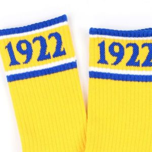 Chaussettes Sigma Gamma Rho Or et Bleu Royal, Chaussettes de Sport Athlétiques, Chaussettes Décontractées pour Équipes, Vêtements Personnalisés OEM ODM Vente en Gros - Product Image 6