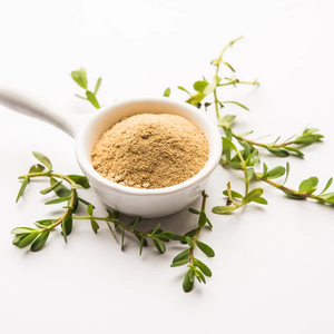 Extracto de Planta de Brahmi en Polvo Estandarizado para la Salud Cognitiva, el Control del Estrés y Soluciones Naturales para el Cuidado de la Salud - Product Image 1