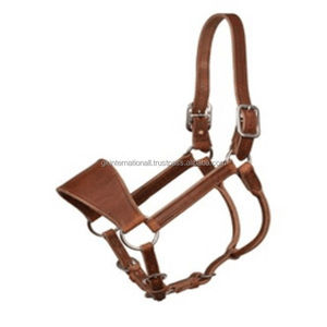 Licou en cuir de cheval confortable et durable en cuir équestre de haute qualité course de chevaux et licou d'entraînement - Product Image 2