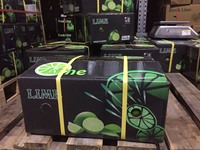 2023 Jeruk Nipis Vietnam Tanpa Biji Hijau Segar Buah Citrus Segar Kelas AA Asli Asam Alami 5-8kg Karton Siap Kirim