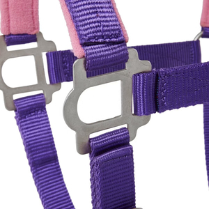 Harnais pour cheval en nylon violet avec rembourrage rose et boucles métalliques pour l'équitation et l'entraînement - Product Image 6