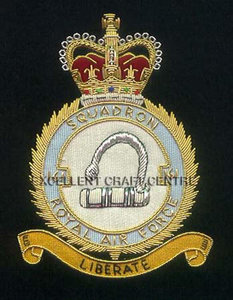 RAF SQD LIBRATE High Quality Lace Embroidered Patch <b>Sew</b>-On Fabric Badge Circular Luxury Design for Garment - Product Image 3