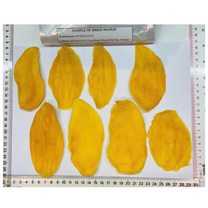 Mango Seco Natural Suave, Snack Premium de Fruta Tropical, Mango en Rodajas Dulce Envasado al Vacío, Snack Saludable y Conveniente para el Día a Día CARYLN - Product Image 2