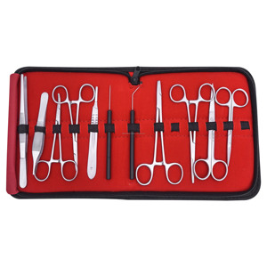Kit de Disección de Acero Inoxidable Reutilizable de 11 Piezas, Marca Debonairii, Certificado CE ISO, Logotipo/Empaque Personalizado para Biología Veterinaria - Product Image 2