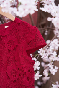 Women's Red Floral Lace Blouse <b>Cap</b> <b>Sleeve</b> O-Neck Bow Detail Elegant <b>Top</b> Spring Summer Casual Wear 100% Polyester VELA - Product Image 6
