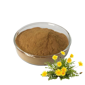 Polvo de Raíz de Diente de León 100% Natural de Calidad Superior, Grado Alimenticio a Base de Plantas, Ayuda en el Control del Peso Corporal - Product Image 6