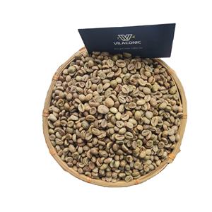 2024 NOUVEAU CROP Robusta Grain de café de haute qualité Robuste du Vietnam-Vert torréfié coloré - Product Image 1