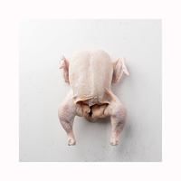 Pollo entero halal, proveedores de pollo entero congelado de Brasil, pollo entero congelado para exportación