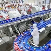 Nouvelle Saison – Concentré de Tomate en Conserve Double Concentré, Prix d'Usine, Vente en Gros, Exportation Chine, OEM/ODM Disponible