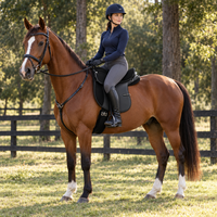 Ensemble de selle d'équitation d'endurance |   Selle de cheval synthétique anglaise avec bride, sangle et étriers pour l'équitation sur sentier et longue distance