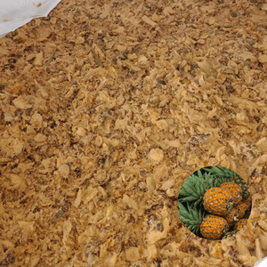 Fábrica Líder en Ventas en Vietnam, Mejor Calidad a Precio de Fábrica, Alimento para Animales, Ensilaje de Cáscara de Piña Empacado en Bolsa de PP - Product Image 1