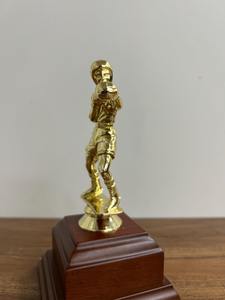 Trophée en métal avec plaque gravée pour les récompenses des jours sportifs scolaires, disponible auprès de l'exportateur indien pour une livraison mondiale - Product Image 5