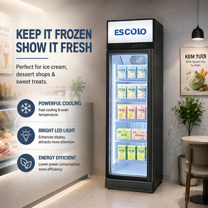 Congélateur commercial à porte simple pour la présentation de glaces et réfrigérateur vertical <span class=keywords><strong>avec</strong></span> dégivrage <span class=keywords><strong>automatique</strong></span> - Product Image 5