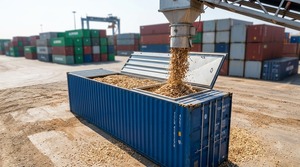Copeaux de bois d'acacia de qualité industrielle, combustible naturel en bois dur pour les foyers extérieurs et les barbecues, teneur en humidité de 10 à 15 %, provenant de Vinh Phuc - Product Image 2