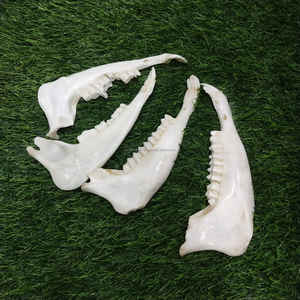 Cuchara para Zapatos de Madera de Mango Pequeña, Estilo Animal, Ecológica, Hecha a Mano, a un Precio Competitivo - Product Image 5