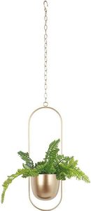 Gold <b>Hanging</b> <b>Basket</b> Ceiling <b>Hanging</b> Planter Hot Selling ndoor Plants Succulent Plants Cratone <b>Hanging</b> Plant Hanger Metal - Product Image 6