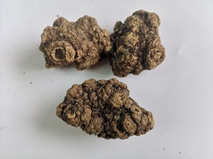 Poudre d'extrait de Rhizoma Chuanxiong : Améliore la commodité d'utilisation, extrait végétal artisanal et ingénieux - Product Image 4