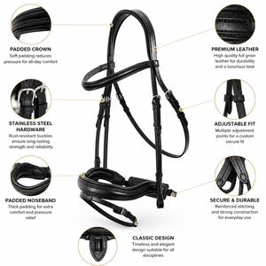 Bridon anglais en cuir marron-noir avec couronne rembourrée et boucles en acier inoxydable - Product Image 4