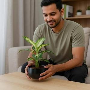 Elegante Maceta de Metal para Flores, para Sala de Estar y Oficina, Maceta Premium para Suculentas de Sobremesa, Maceta Decorativa Moderna y para Regalo - Product Image 6