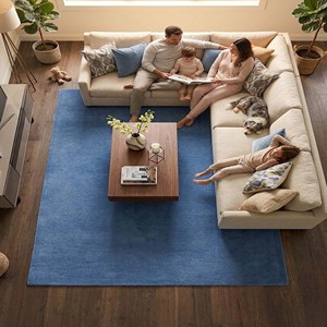 Alfombra Moderna de Color Azul Claro, Suave y Afelpada, Estilo Minimalista, Hecha a Mano, de Lujo, para Sala de Estar, Dormitorio, Decoración del Hogar - Product Image 2