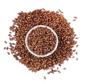 Cassia de qualité supérieure au meilleur prix - Product Image 1