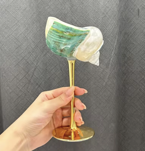 Natural Seashell Cup Handmade Shell <b>Container</b> for Jewelry Storage Home Decoration and Gift - Product Image 6