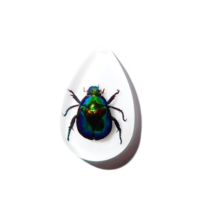 Cabochon en plastique de spécimen réel de scarabée coloré, taille poire, 46x30 mm, blanc, fond plat, pour artisanat et fabrication de bijoux - Product Image 6