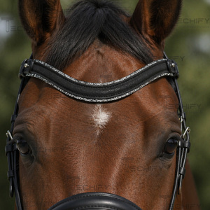 Black Padded Leather Horse Browband with Double Crystal Trim – Curved Sparkle Bridle Browband for <b>Equestrian</b> Riding & Show use - Product Image 1
