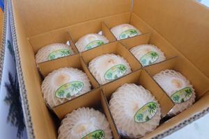 มะพร้าวอ่อนสด 100% รสหวานธรรมชาติ - Product Image 2