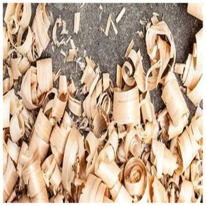 Virutas de madera de pino de calidad limpia/Aserrín de madera de pino/Polvo de madera de pino para lecho de aves y animales - Product Image 6