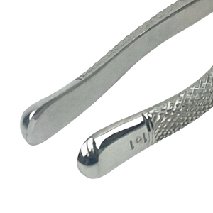 คีมถอนฟันเด็ก Pedo Extracting Forceps 151S ทำจากสแตนเลส ใช้สำหรับถอนฟันเด็ก  แบบใช้มือ  เครื่องมือผ่าตัดทางทันตกรรม  ใช้ซ้ำได้ - Product Image 4