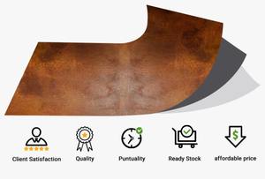 Panel de Piedra Ultrafino Indian Autumn - Product Image 4