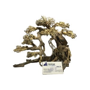 สินค้าใหม่ ไม้ลอยน้ำ บอนไซไม้ลอยน้ำจากเวียดนาม สำหรับผู้ค้าส่ง - Product Image 4