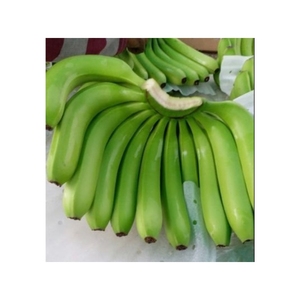 ¡OFERTA ESPECIAL! Plátano Cavendish Fresco, Limpio, Puro, Seguro y Dulce para Aporte de Fibra y Energía. Venta Directa al por Mayor para Exportación en Caja. - Product Image 3