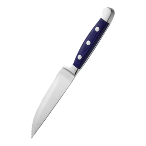 Couteaux à steak durables en acier inoxydable avec manche noir et lame dentelée tranchante pour restaurants, hôtels, cuisines - Fournisseur en gros - Product Image 2