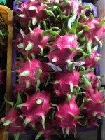 Viet Thien Phu Biologisch Rood Drakenfruit Premium Vers 100% Natuurlijk Exotisch Fruit Van Tropische Boerderijen In Vietnam