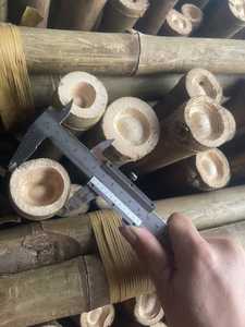 Varas de Bambú Crudo de Alta Calidad para Construcción y Decoración de Jardines, Ecológicas, Marca Vietnam 99GD, Diámetro de 6-60 mm, 30-600 cm, 24 Unidades - Product Image 2