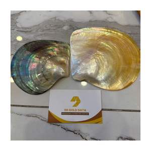 Bandeja de Concha Natural Negra de Nácar, Producto Natural de Lujo Hecho en Vietnam, Concha Ecológica - Product Image 4