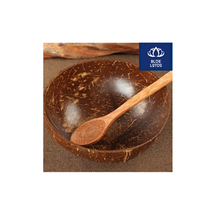 Tazón de Cáscara de Coco Ecológico de Primera Calidad, Seguro y Limpio, Producto Vegetal Puro, Ideal para Exhibir Postres y Servir Alimentos, Directo de Fábrica - Product Image 1