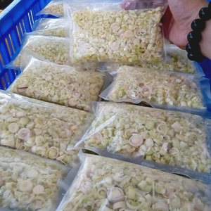 Hierba de limón congelada prepicada IQF entera y en rodajas de hierba de limón verduras congeladas recién para sopa de Vietnam - Product Image 4