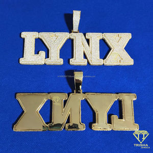 เครื่องประดับฮิปฮอปเย็นเริ่มต้นจากโรงงาน925เงิน VVS เพชรที่ปลูกในห้องปฏิบัติการที่กำหนดชื่อเองจี้ตัวอักษรฮิปฮอปสำหรับผู้หญิง - Product Image 2