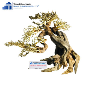 ไม้ตกแต่งตู้ปลาสแตนเลสทรงไม่สม่ำเสมอ ยี่ห้อ Vietaquaticwood สำหรับตกแต่งตู้ปลาและเลี้ยงหอยทาก ทนทาน - Product Image 4