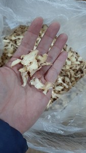 Rodajas de Jengibre Seco, Jengibre Natural en Tiras, Especias Crudas para Sazonar y Procesar Alimentos - Product Image 6