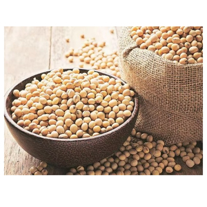 Graines de soja pour l'agriculture, semences certifiées à haut rendement, non-OGM, vente en gros, approvisionnement en vrac, fabricant, exportateur - Product Image 4