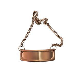 Plaque commémorative en métal doré antique pour urne funéraire, personnalisable avec ruban et chaîne pour cendres, avec collier d'identification gravable - Product Image 1