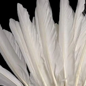 Plumes de canard teintées de qualité supérieure, fabriquées à partir de plumages de canard naturels, pour l'artisanat, les vêtements, la fabrication de bijoux et la décoration intérieure. - Product Image 1