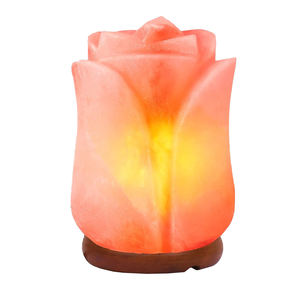 Lámpara de Sal Rosa del Himalaya Tallada a Mano con Forma de Flor, Precio de Fabricante, Luz Nocturna de Sal de Cristal para Decoración del Hogar - Product Image 1
