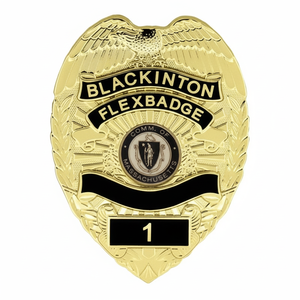 Pins de Esmalte Metálico Hechos en Pakistán, Personalizados, Insignias para Uniformes de Trabajo con Esmalte Duro/Blando - Product Image 1